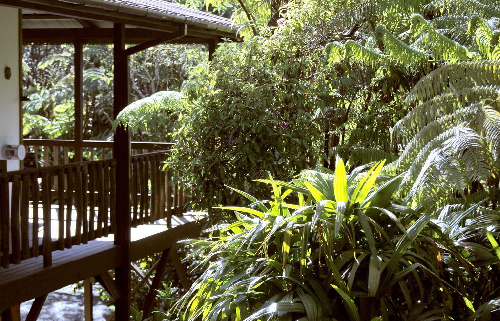 Lotus Garden Cottages Volcano Esterno foto