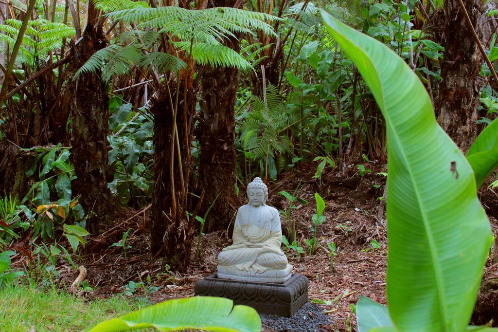 Lotus Garden Cottages Volcano Esterno foto